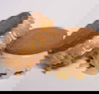 Gelato Messina - South Brisbane - Accommodation Brisbane