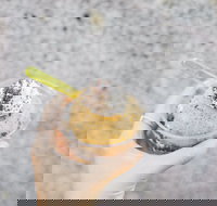 Spice Cottage - Accommodation Brisbane