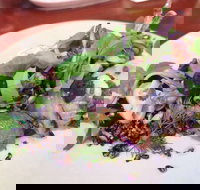 YaYa Bar and Eatery - Accommodation Brisbane