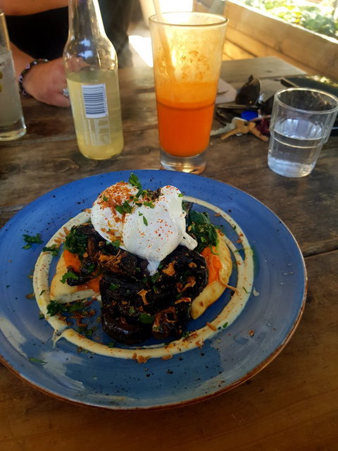 Mister Sunshine's - Accommodation Brisbane 3
