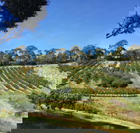 Cherrytime Orchard - Accommodation Brisbane