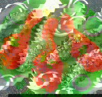 Coconut Lagoon Indian Cuisine - Accommodation Brisbane