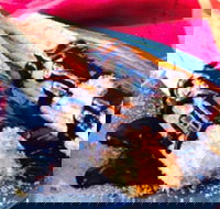 Donut King - Sunshine - Accommodation Brisbane