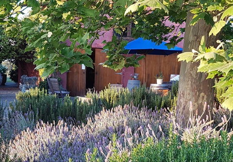 Macquariedale Organic Wines - Accommodation Brisbane 0