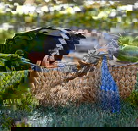 Rowlee Wines Picnic Hamper - Accommodation Brisbane