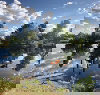 Hillbrook Hygge Cafe - Accommodation Brisbane