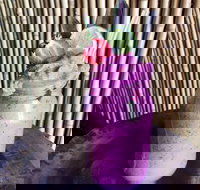 Jungle - Accommodation Brisbane