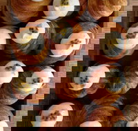 Lune Croissanterie - Fitzroy - Accommodation Brisbane