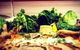 Paris Brest Fine Bistro & Catering - thumb 0