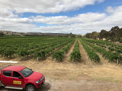 RedHeads Wine - Accommodation Brisbane 1