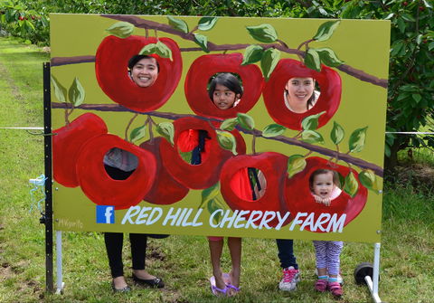 Red Hill Cherry Farm - Accommodation Brisbane 1