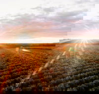 Rich Glen Olive Farm - Accommodation Brisbane