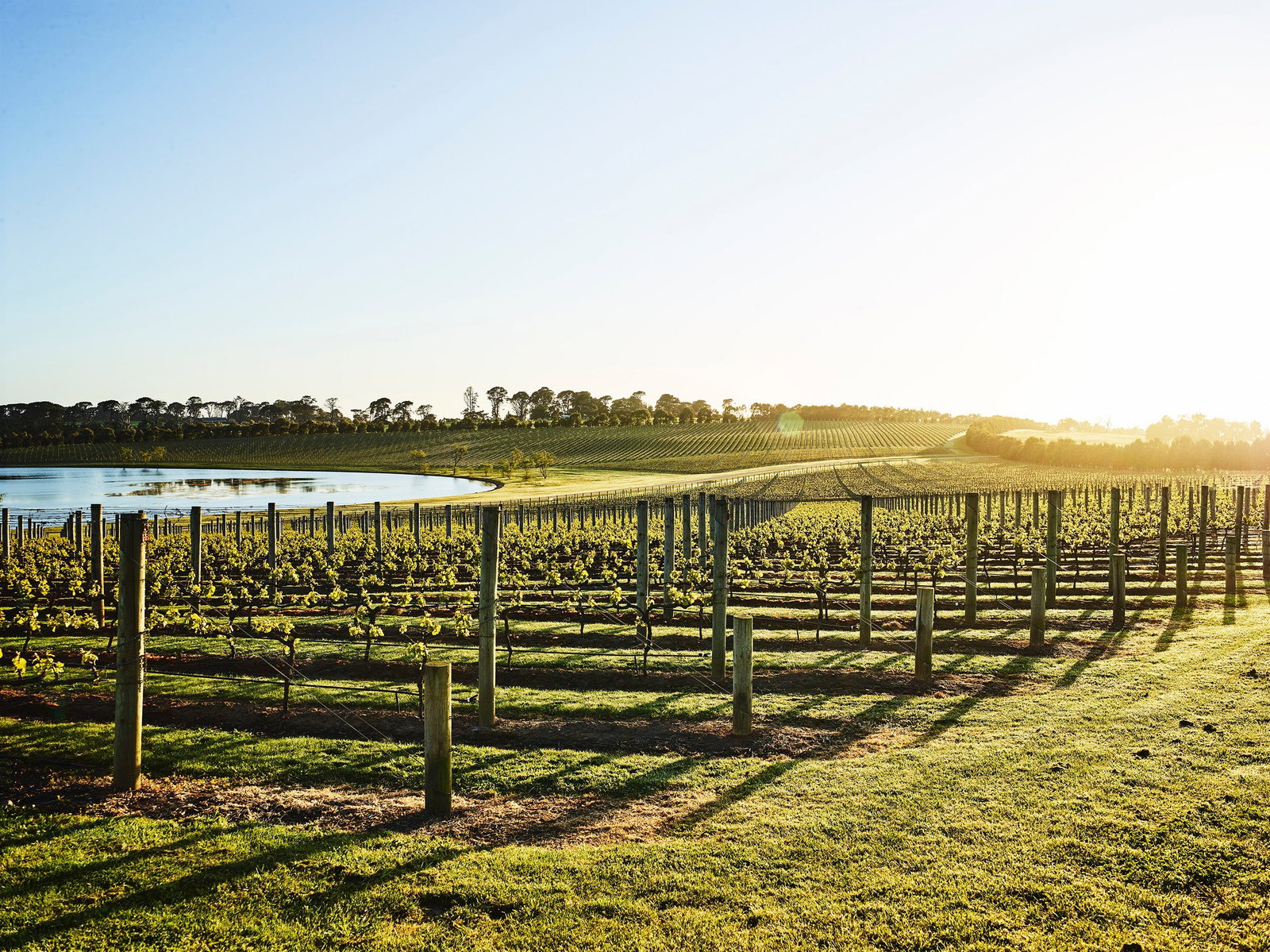 Merricks VIC Accommodation Brisbane