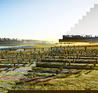Wine Terrace and Cellar Door at Pt Leo Estate - Accommodation Brisbane