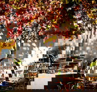 Jones Winery  Vineyard - Accommodation Brisbane