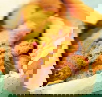 Mrs. Fields - Baldivis - Accommodation Brisbane