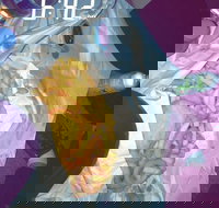 Sharks Tail Fish  Chippery - Accommodation Brisbane