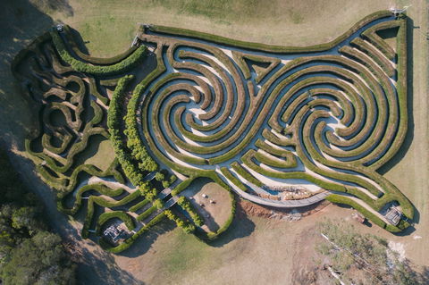 Bago Maze And Wine - Accommodation Brisbane 0