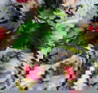 Bella Char Restaurant  Wine Bar