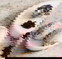 Gelatissimo - Cronulla - Accommodation Brisbane