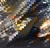 Kombi Koffein - Accommodation Brisbane