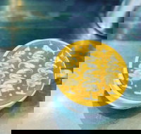 Fay's Cafe - Accommodation Brisbane