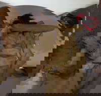 Roast  Toast - Accommodation Brisbane