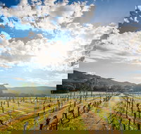 Fallen Giants Vineyard - Accommodation Brisbane