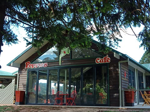 Poppies  Cafe - Accommodation Brisbane 0