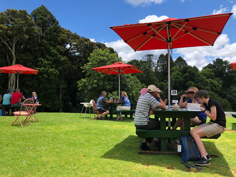 Poppies  Cafe - Accommodation Brisbane 1