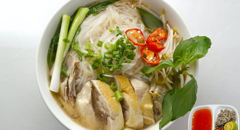 The Fat Carrot - Accommodation Brisbane 0