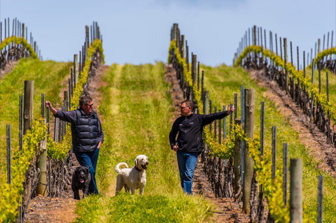 Tim Adams Wines - Accommodation Brisbane 2