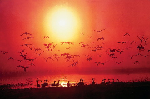 Barra Cafe On Riverview - Accommodation Brisbane 0