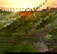 Bennetts on Bellarine Winery - Accommodation Brisbane