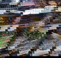 Haynes Street Larder - Accommodation Brisbane