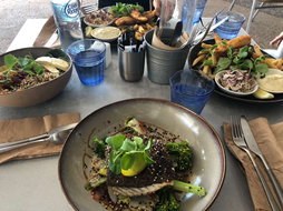 Newcastle Restaurants and Takeaway Accommodation Brisbane Accommodation Brisbane