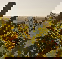 Wimbaliri Wines - Accommodation Brisbane