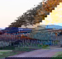 Rowlee Wines - Accommodation Brisbane