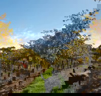 Ruddenklau Wines - Accommodation Brisbane