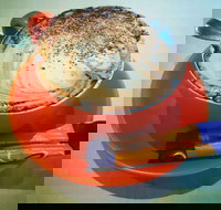 Sunshine Social - Accommodation Brisbane