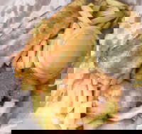 JFC - Accommodation Brisbane