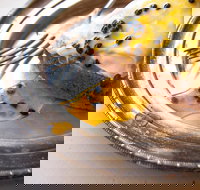 Power Plant - Accommodation Brisbane