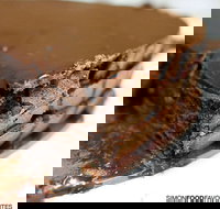 The Best Chocolate Cake - Accommodation Brisbane