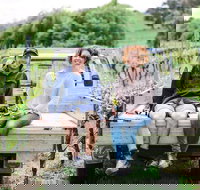 Four Winds Vineyard Cellar Door - Accommodation Brisbane