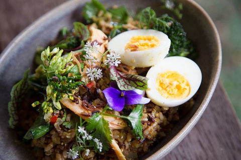 Wilde Kitchen - Accommodation Brisbane 0