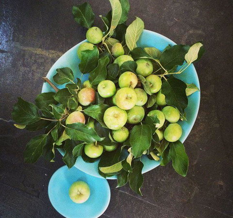 Seed Winehouse + Kitchen - Accommodation Brisbane 6