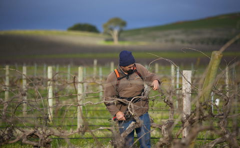 Kurtz Family Vineyards - Accommodation Brisbane 0