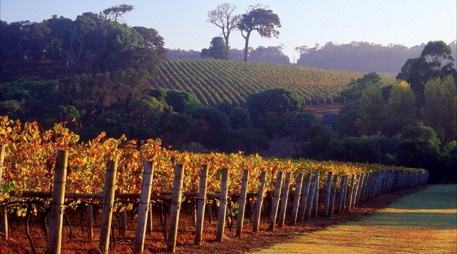 Carbunup River WA Accommodation Brisbane