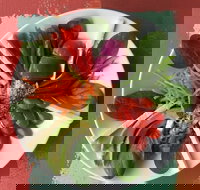 Olive Bus Clare - Accommodation Brisbane