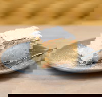 The Vanilla Slice Cafe Sorrento - Accommodation Brisbane